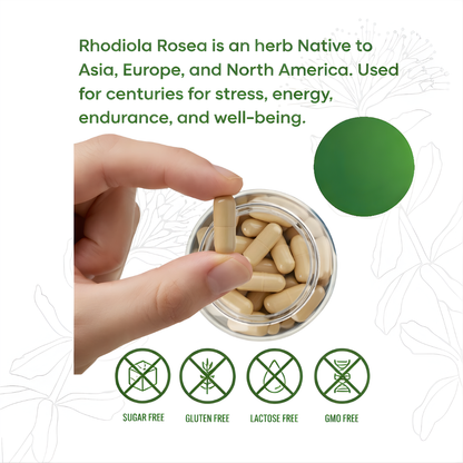 Rhodiola Rosea